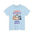 Personalized Party Kittens Birthday Shirt – Add Name & Age