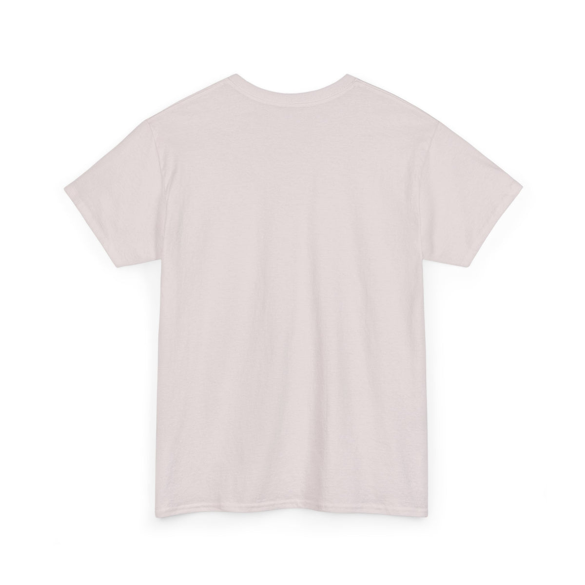 Personalized Dinosaur Birthday Shirt – Add Name & Age