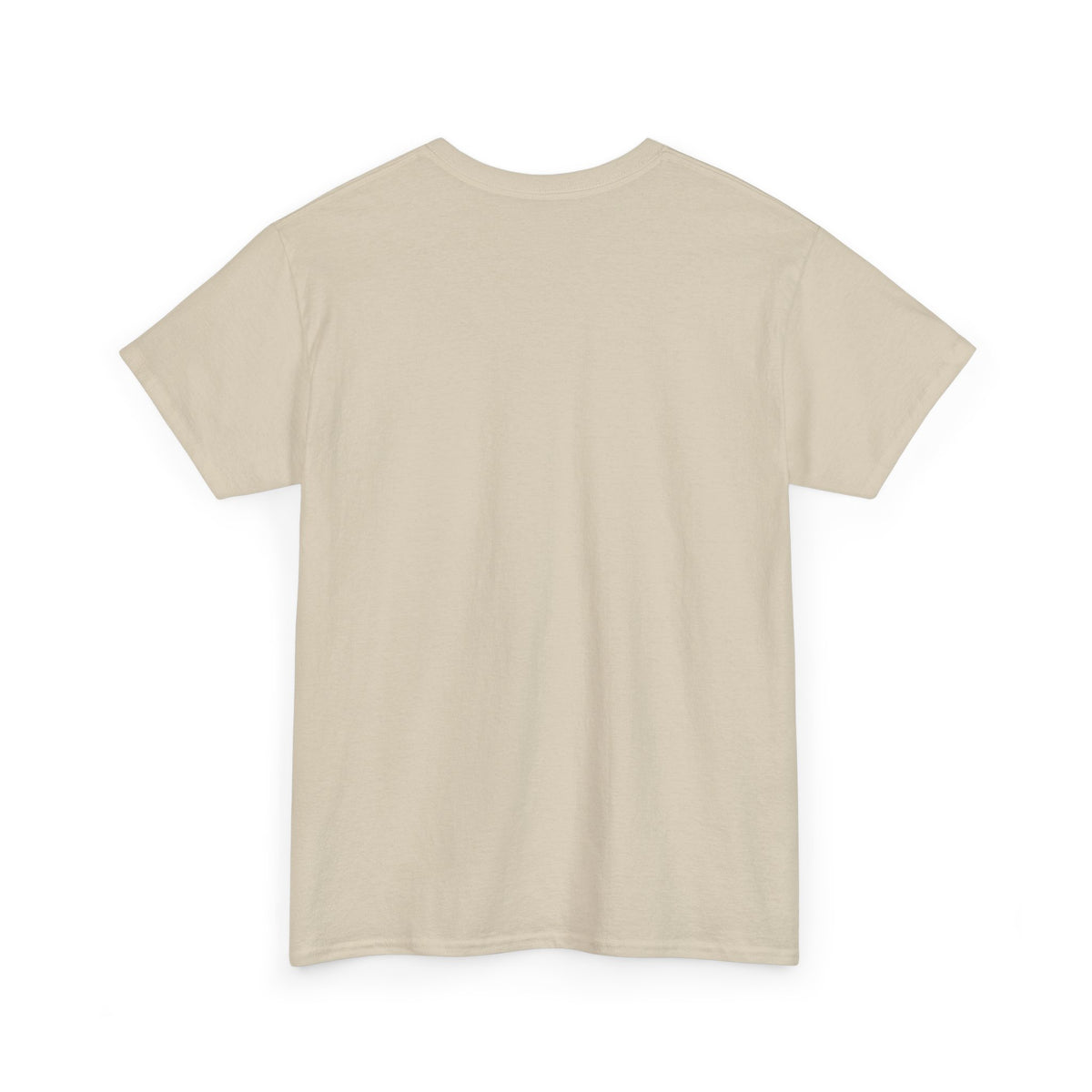 Personalized Dinosaur Birthday Shirt – Add Name & Age